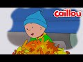Caillou S Leaf Pile Caillou WildBrain Learning For Children