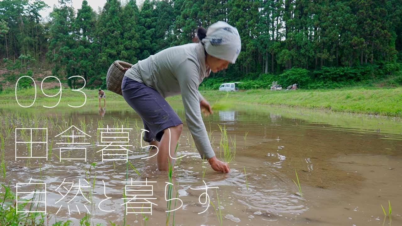 【Japan Countryside Vlog】Traditional and beautiful Japanese home garden