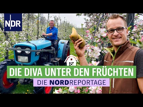 Süße Früchtchen: Birnen erobern das Alte Land  | Die Nordreportage  | NDR