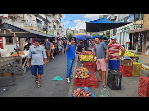 A FEIRA LIVRE DE BOM JARDIM PERNAMBUCO 03/12/2025