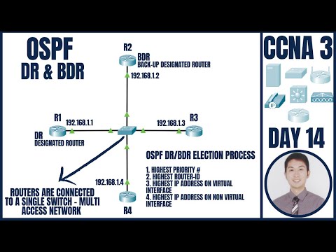 OSPF DR & BDR in Packet Tracer | CCNA 3: Day 14