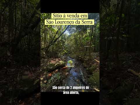 Sítio de 4,6 alqueires em São Lourenço da Serra com cachoeira #sitio #cachoeira #sãolourenço #roça