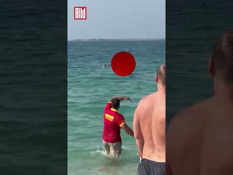 Riesen-Hai in Touri-Menge gesichtet | Dubai #shorts