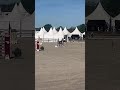 Hickstead d'Eskame, hongre, 9 ans, 147 cm à la toise