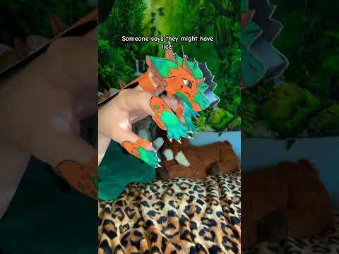 Jk guys I’m bald 👩‍🦲 /j #dragon #paperdragon #artist #art #fypシ゚viral #puppet  #sketch #puppeteer