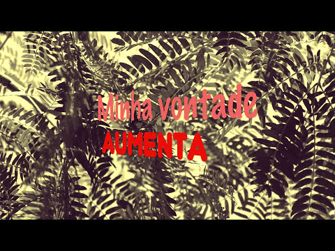 Anedota - Jean Tassy