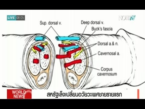ภาพที่กระตุ้นผู้หญิง วิธีการปลุกระดมนิ้วผู้หญิง