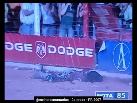 🇧🇷 Irineu Carvalho x Xexênia - Rodeio de Colorado 2007 #rodeio #rodeo #cutiano