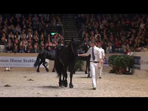 Hengstenkeuring 2018: Rubriek 2