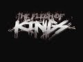 The Flesh Of Kings 2012 EP Teaser 