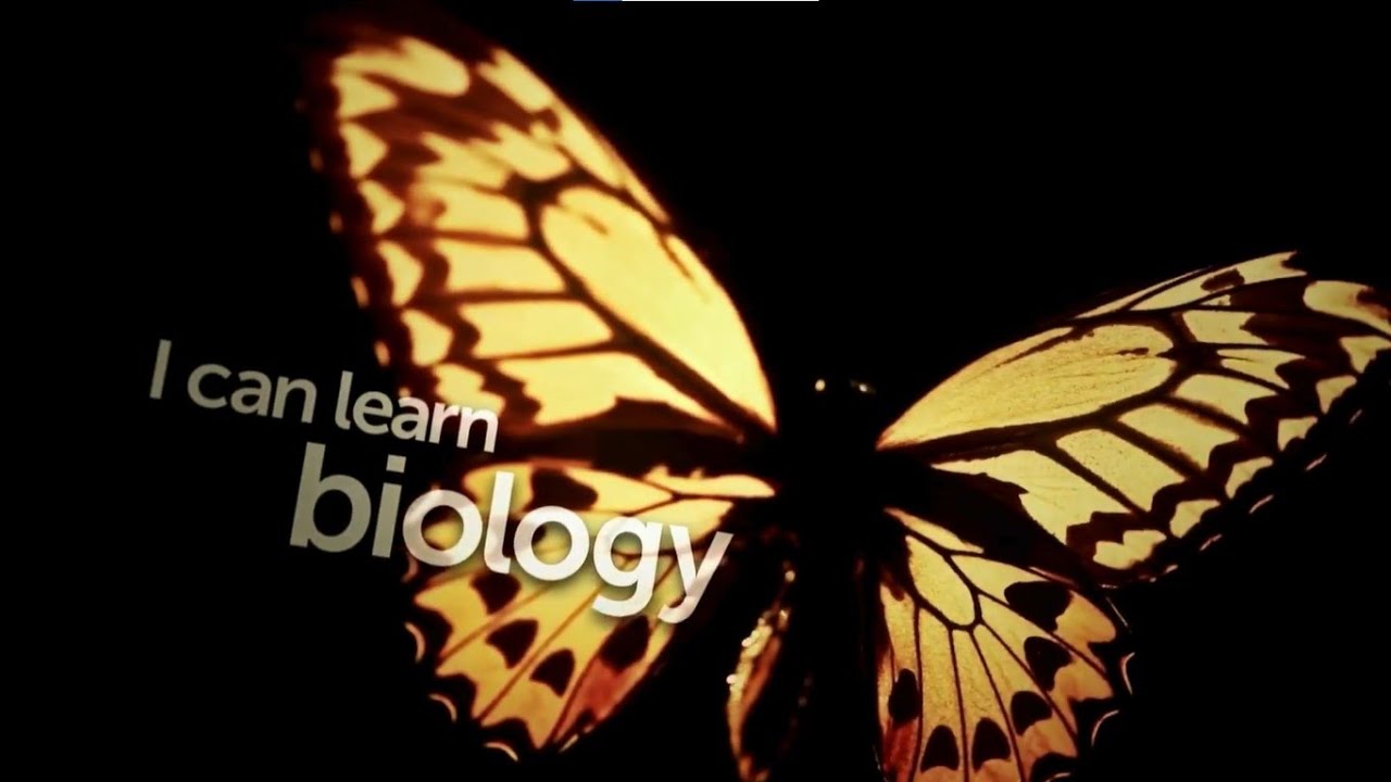 Introducing Discovery Education