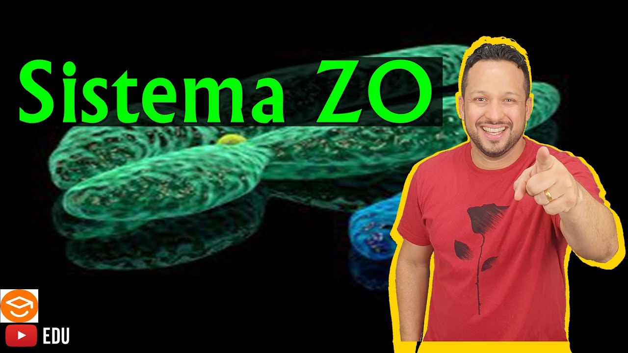 Sistema Z0 - Determinação do Sexo - Sistemas Sexuais - Genética
