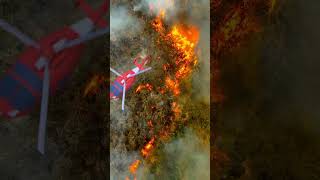 Download lagu Helikopter penyelamat Air!  #shorts #tayobahasaindonesia #TayoBusKecil mp3