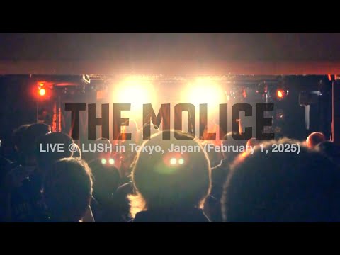 New live video “Active Imagination” out now! | THE MOLICE official website