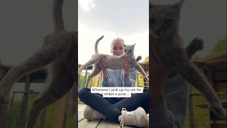 #cat #cute #catvideo #cutecat #funnyvideo #pets #funny