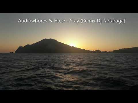 Audiowhores & Haze - Stay (Remix Dj Tartaruga)
