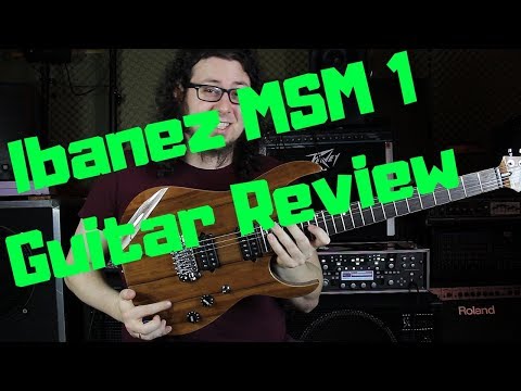 Ibanez MSM 1 // Guitar Review