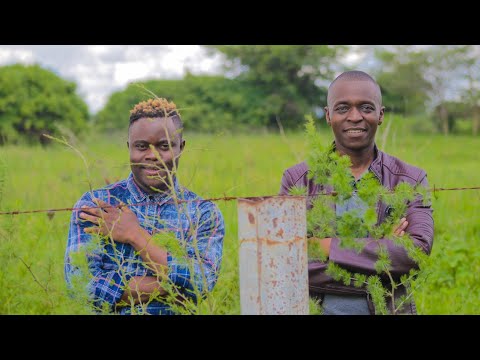 Joel Machacha × Sabastian Magacha-Nditungamirei(Official Video) NAXO Films 2019