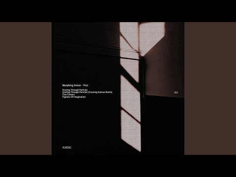 Sensing Through Particles (Crossing Avenue Remix)