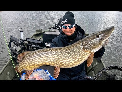 ISON HAUEN KEVÄT KALASTUS JATKUU | KUMPI TOIMII PAREMMIN SYVÄ VAI MATALA? | HAUENKALASTUS