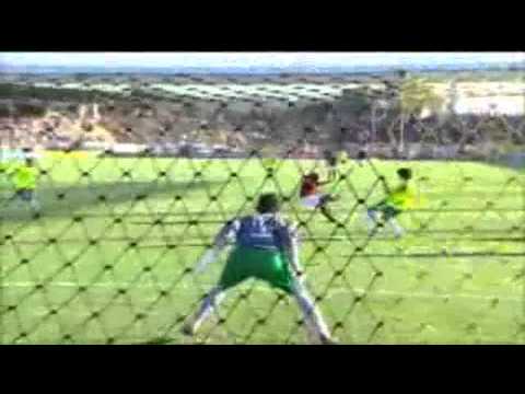 Palmeiras rebaixado. Melhores momentos Flamengo 1 x 1 Palmeiras Brasileirão 18.11.2012