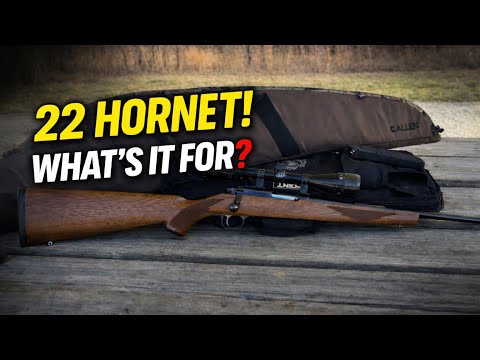 22 Hornet? What's it for? #gunstuff