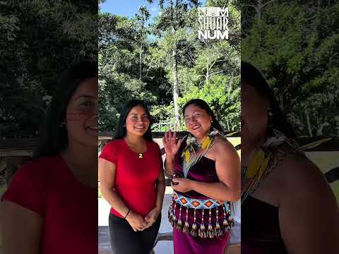 🌿🛖✨ ¡Te invitamos a salir de la rutina y vivir la experiencia #ShuarNum! #zamorachinchipe #timbara