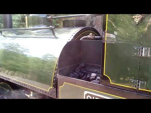 Sir Haydn running round at Nant Gwernol