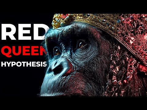 Why Human Evolution Suddenly Accelerated 100,000 Years Ago?