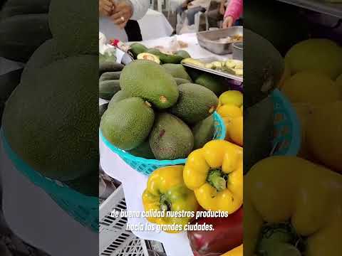 El Ministerio Agricultura, Ganadería y Pesca Ecuador atiende al agro en el cantón Mira.