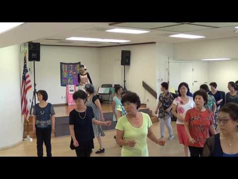 TI DICO DI SI ( Teach & Dance ) - Line Dance by Ira Weisburd ( USA )