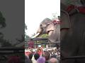 Thechikottukavu Ramachandran For Thrissur Pooram 2025