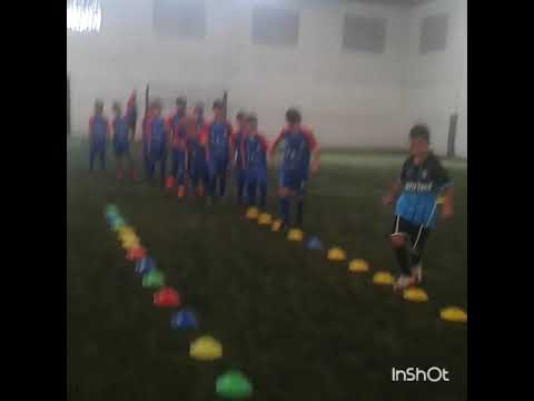 Núcleo Apafut/Bola Cheia