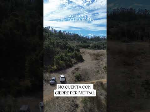 PARCELA EN VENTA DE 9.470 M² EN CASABLANCA | FLORA NATIVA Y CONECTIVIDAD A RUTA 68