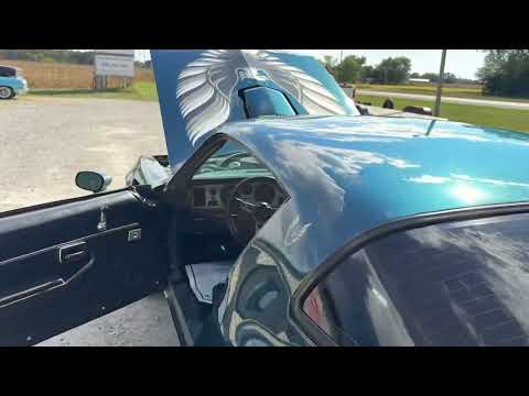 1979 Pontiac Firebird Trans Am (CC-2008614) for sale in Nashville, Illinois