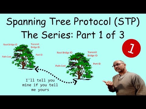 O'Reilly Packet Guide to Routing and Switching Chapter 3: Spanning Tree part I