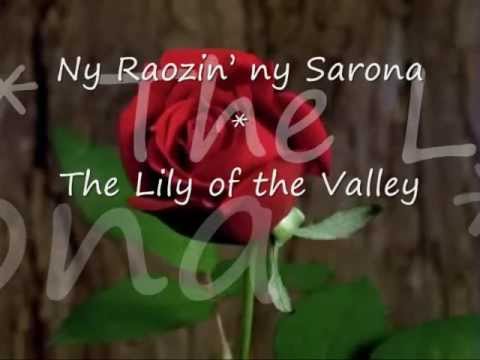 Ny Raozin' ny Sarona - The Lily of the Valley