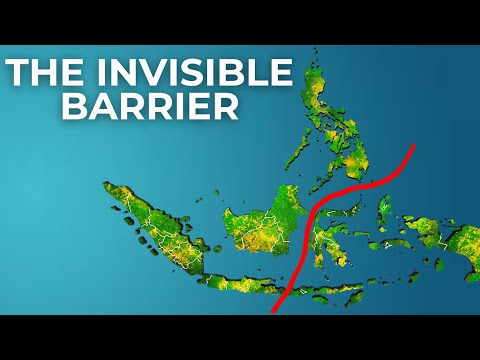 Why Animals Don't Cross This Invisible Wall