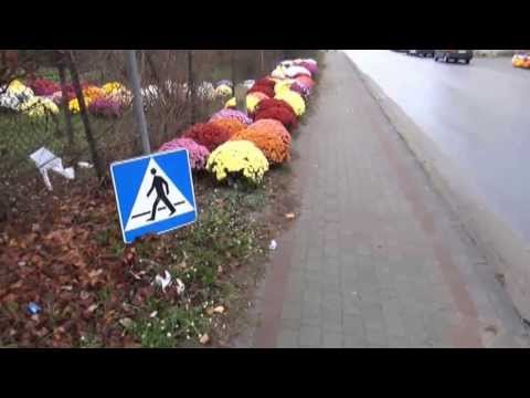 Szokujące znaki drogowe w Oleśnie (powiat dąbrowski)