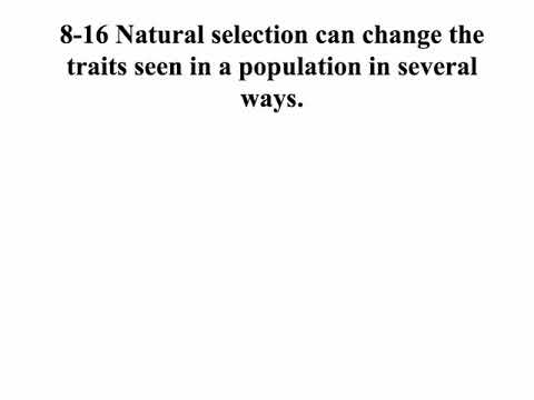 Patterns of Natural Selection