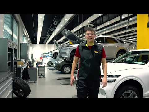 Autofreak - Automobilmechatroniker PW - Job im Fokus - Galliker Transport AG