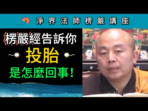 净界法师《楞严经》讲座：投胎是怎么回事