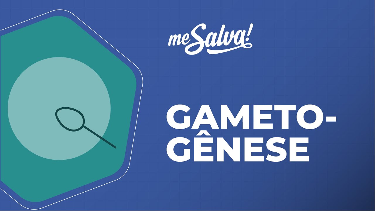 Gametogênese - Embriologia - Me Salva! Saúde