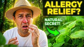 Your Allergies Don't Stand a Chance Against This Tea