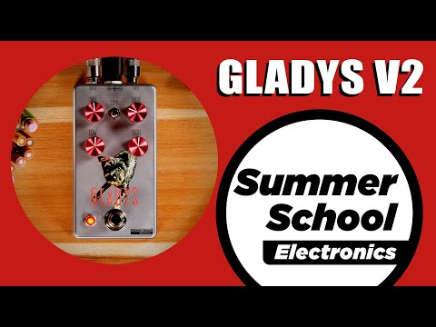 Summer School Electronics Gladys V2 2024 image 2
