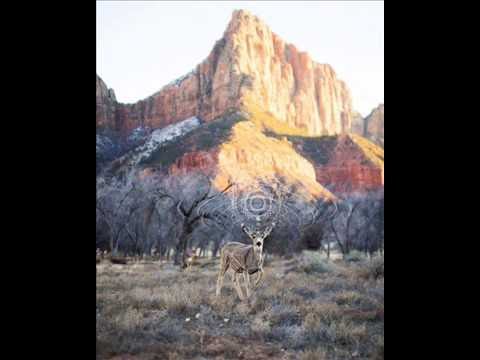 Tara Putra  -  Channel Dub Sumatra (Psychoz Remix)