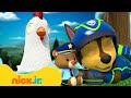 PAW Patrol Pups Have Weird Dreams 4 W Chickaletta 10 Minutes Nick Jr