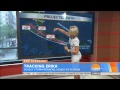 Dylan Dreyer The Today Show
