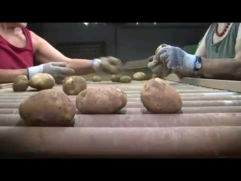 Imagefilm Groß-Bieberau