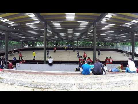 2018-07-08 Spreewölfe Berlin III - Rostock Nasenbären 2:2